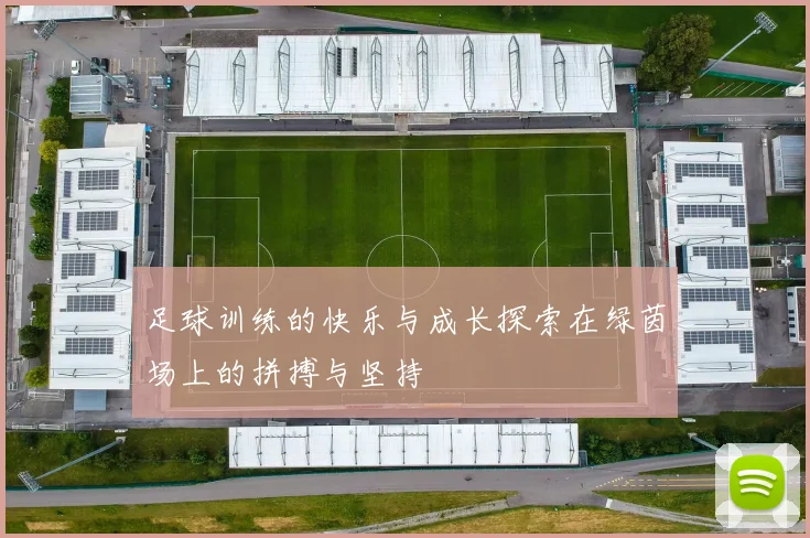 足球训练的快乐与成长探索在绿茵场上的拼搏与坚持