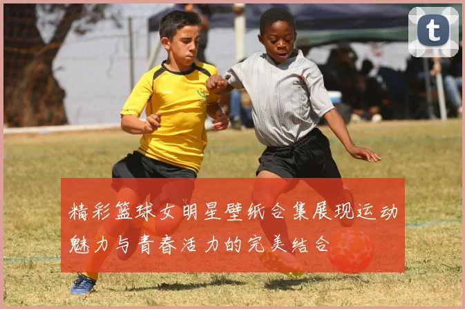 精彩篮球女明星壁纸合集展现运动魅力与青春活力的完美结合