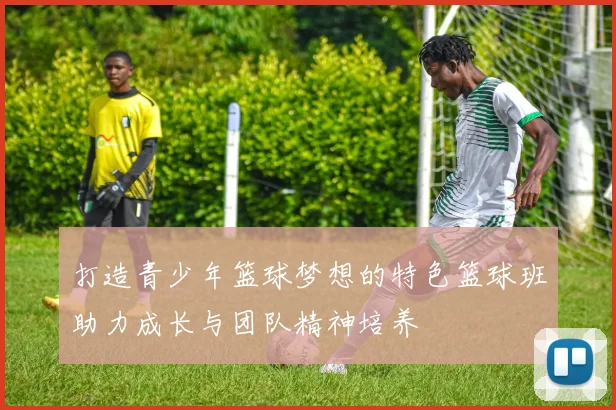 打造青少年篮球梦想的特色篮球班助力成长与团队精神培养