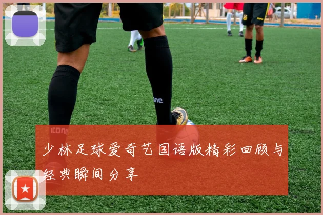 少林足球爱奇艺国语版精彩回顾与经典瞬间分享