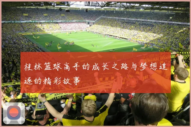 桂林篮球高手的成长之路与梦想追逐的精彩故事