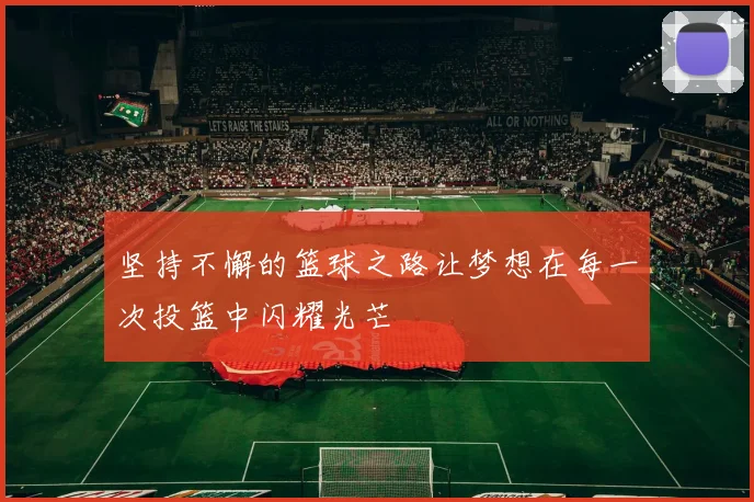 坚持不懈的篮球之路让梦想在每一次投篮中闪耀光芒