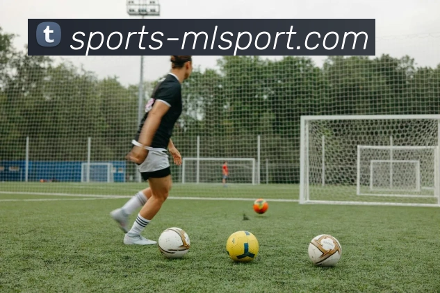 米兰体育平台服务体系